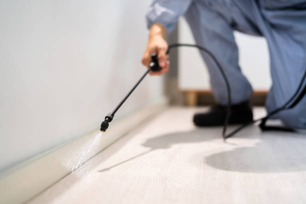 Professional exterminator conducting IPM assessment in Britt